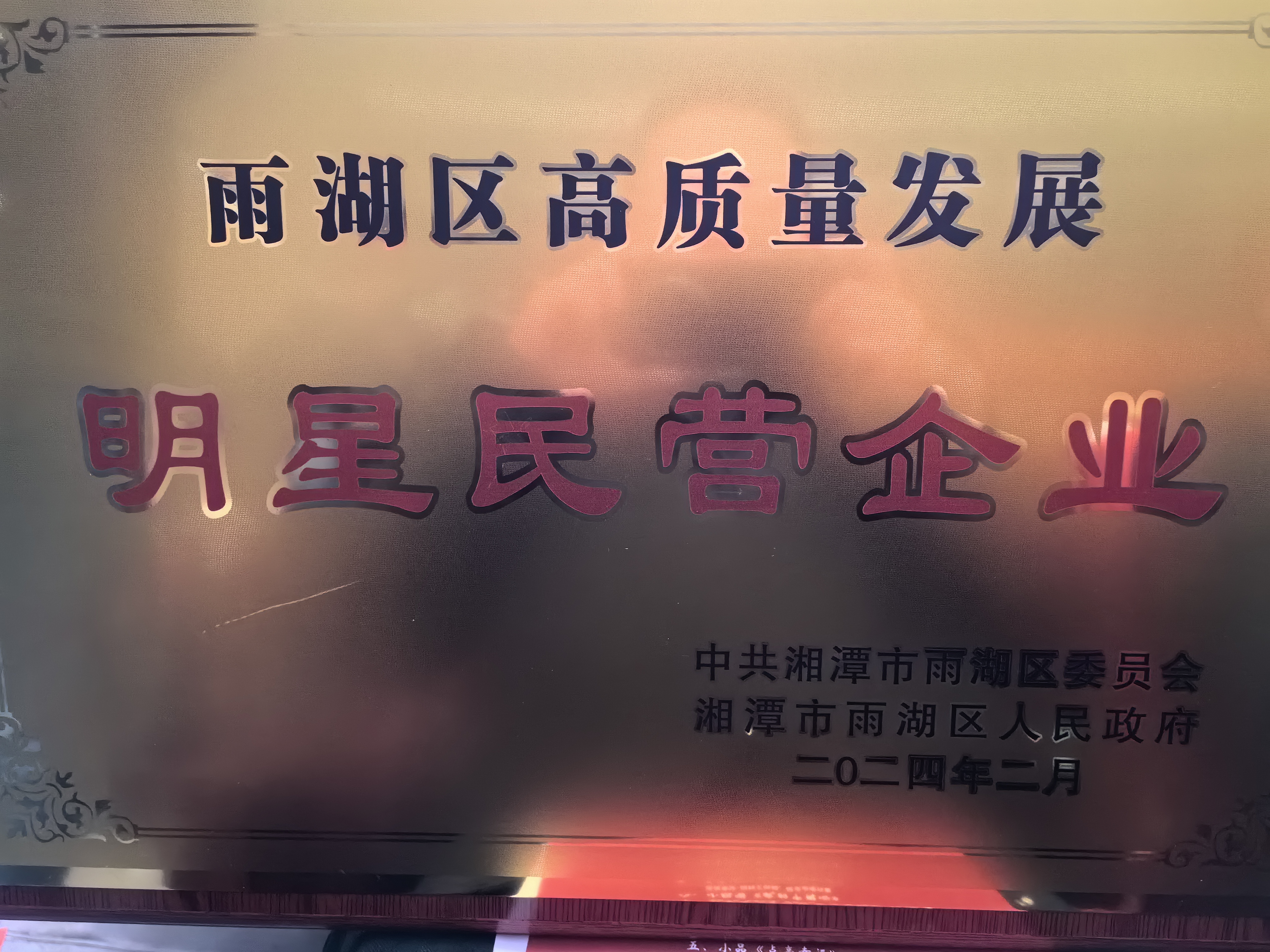 B体育在线注册_B体育（中国）荣获“雨湖区高质量发展明星民营企业”称号